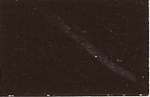 1981 Datsun Dark Copper Poly